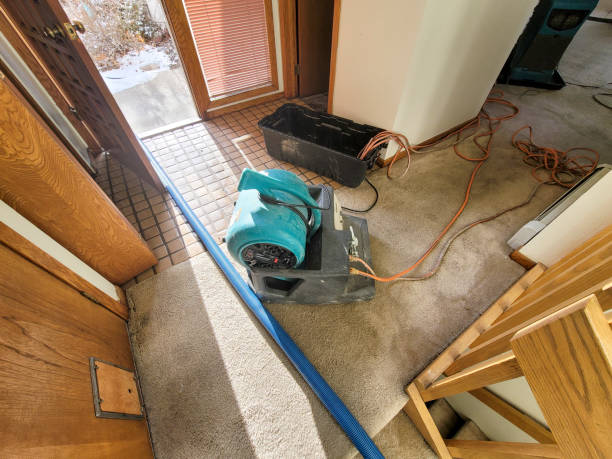 Best Carpet water damage restoration  in Meadow Glade, WA