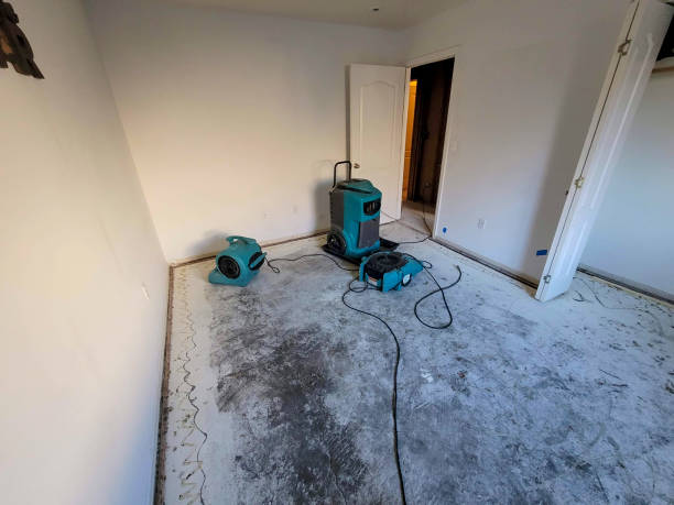 Best Ceiling water damage repair  in Meadow Glade, WA