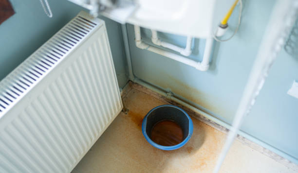 Professional Water damage restoration in Meadow Glade, WA