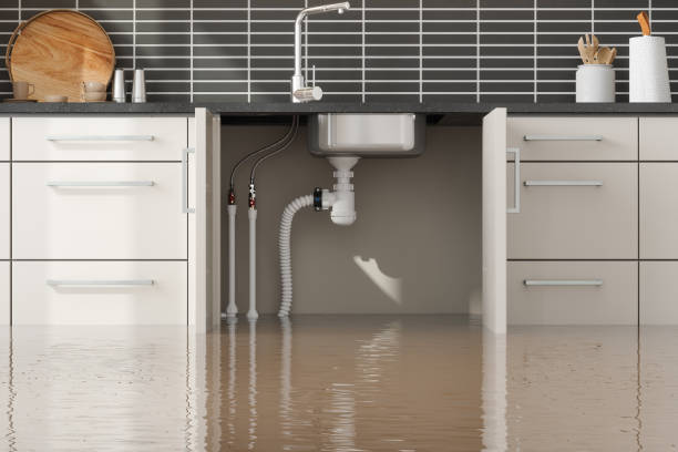 Best Ceiling water damage repair  in Meadow Glade, WA