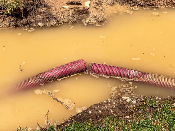 Local water damage restoration in Meadow Glade, WA