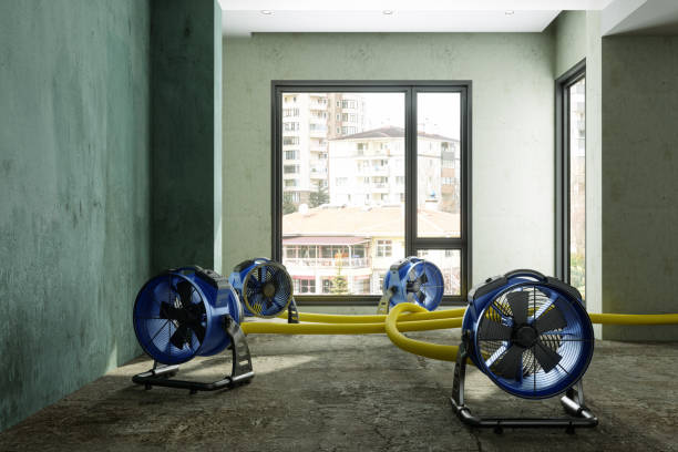 Best Sewage cleanup and water damage restoration  in Meadow Glade, WA