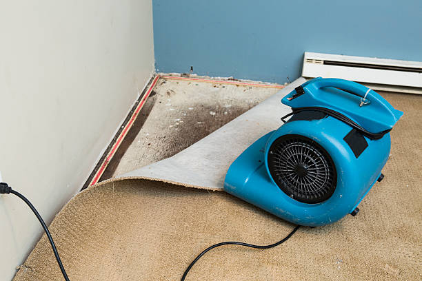 Best Flooded house restoration  in Meadow Glade, WA