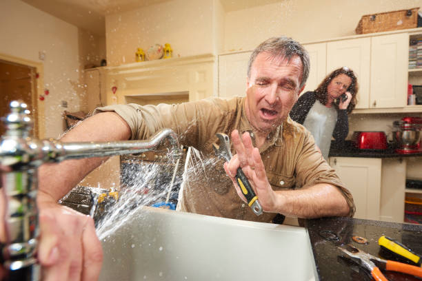  Meadow Glade, WA Water damage restoration Pros